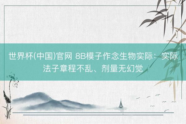世界杯(中国)官网 8B模子作念生物实际：实际法子章程不乱、剂量无幻觉