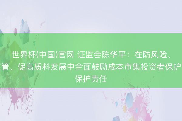 世界杯(中国)官网 证监会陈华平：在防风险、强监管、促高质料发展中全面鼓励成本市集投资者保护责任