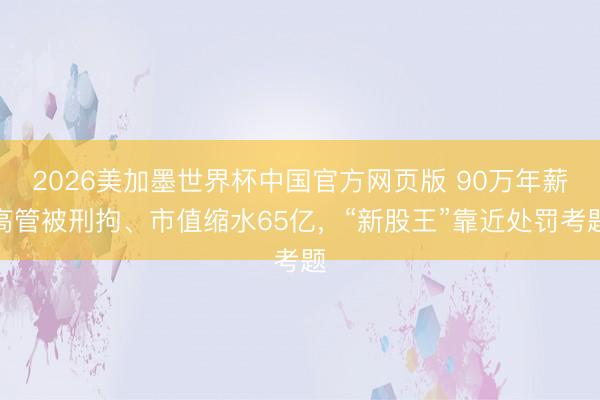 2026美加墨世界杯中国官方网页版 90万年薪高管被刑拘、市值缩水65亿,“新股王”靠近处罚考题