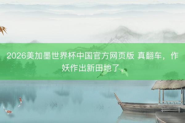 2026美加墨世界杯中国官方网页版 真翻车，作妖作出新田地了。