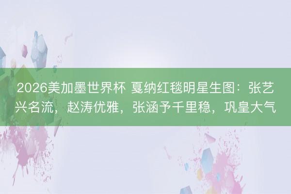 2026美加墨世界杯 戛纳红毯明星生图：张艺兴名流，赵涛优雅，张涵予千里稳，巩皇大气