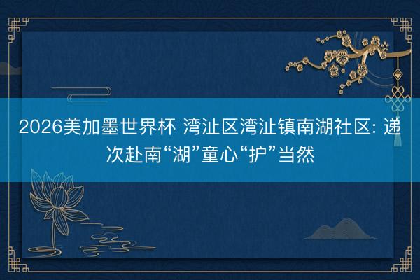 2026美加墨世界杯 湾沚区湾沚镇南湖社区: 递次赴南“湖”童心“护”当然