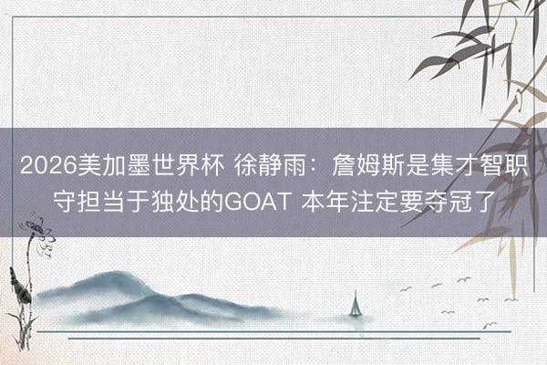 2026美加墨世界杯 徐静雨：詹姆斯是集才智职守担当于独处的GOAT 本年注定要夺冠了
