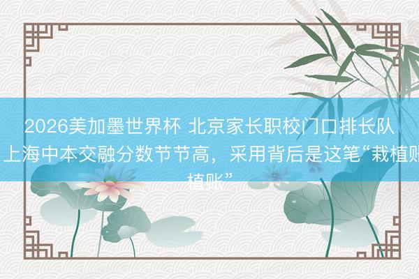 2026美加墨世界杯 北京家长职校门口排长队，上海中本交融分数节节高，采用背后是这笔“栽植账”
