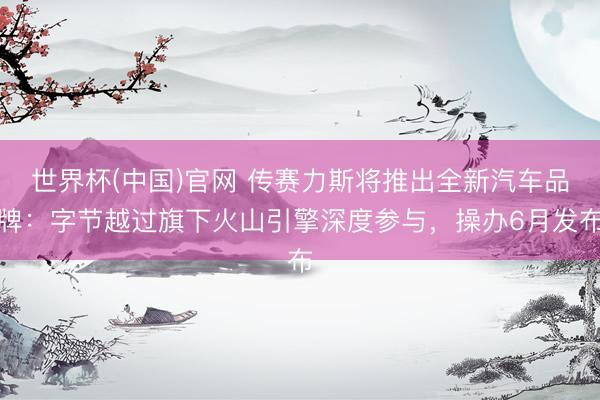 世界杯(中国)官网 传赛力斯将推出全新汽车品牌:字节越过旗下火山引擎深度参与,操办6月发布
