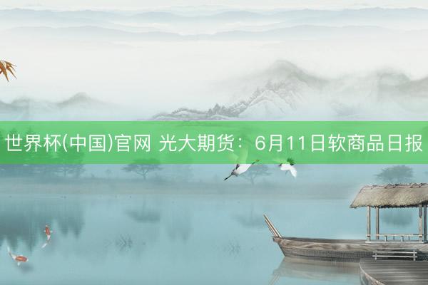世界杯(中国)官网 光大期货:6月11日软商品日报