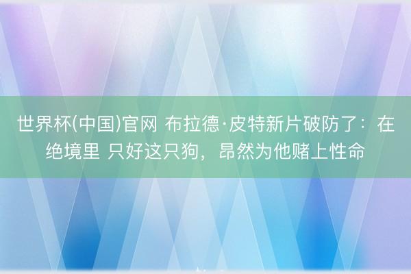 世界杯(中国)官网 布拉德·皮特新片破防了：在绝境里 只好这只狗，昂然为他赌上性命