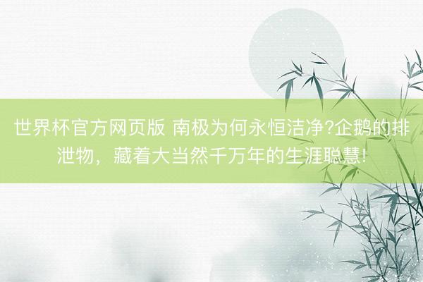 世界杯官方网页版 南极为何永恒洁净?企鹅的排泄物，藏着大当然千万年的生涯聪慧!