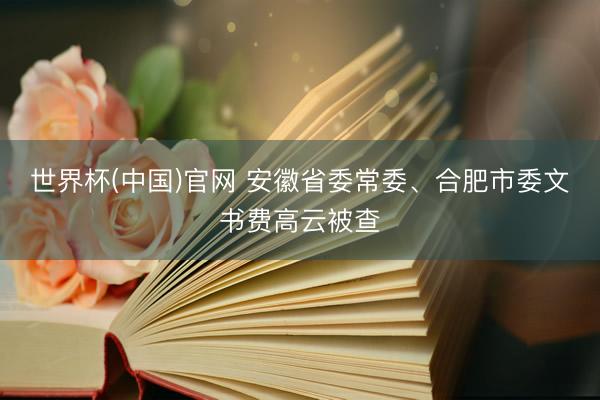 世界杯(中国)官网 安徽省委常委、合肥市委文书费高云被查