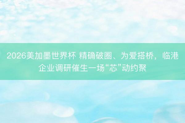 2026美加墨世界杯 精确破圈、为爱搭桥,临港企业调研催生一场“芯”动约聚